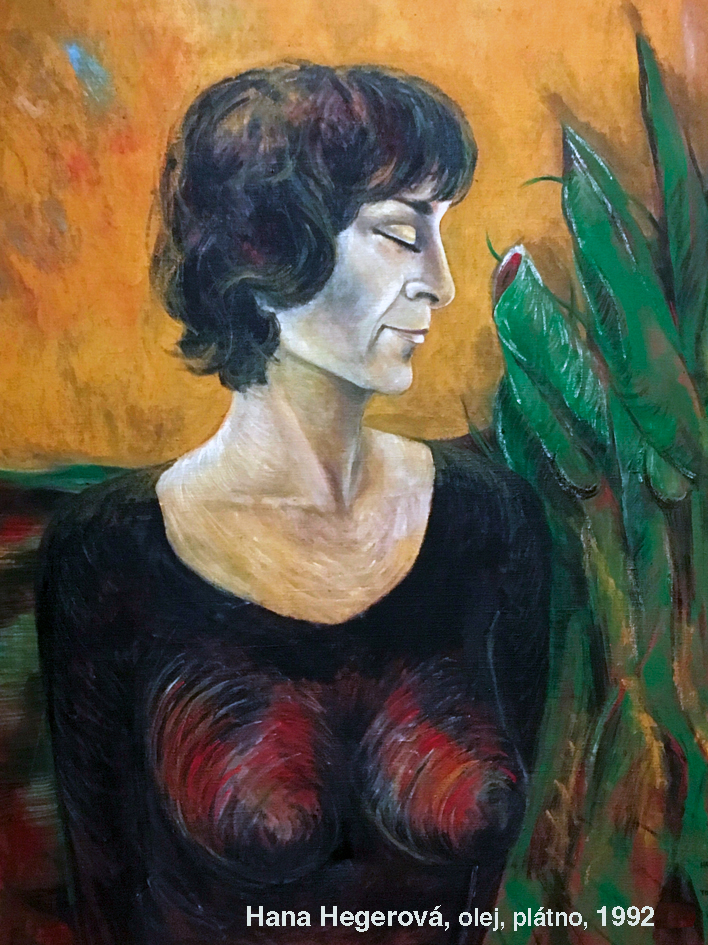 Obraz Hana Hegerová